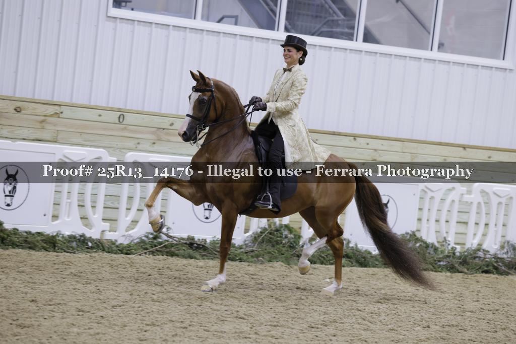 Proof 25R13_14176