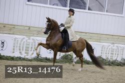 25R13_14176 proof