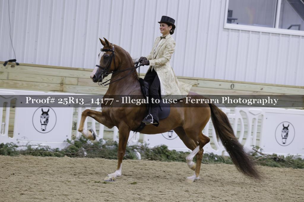 Proof 25R13_14177