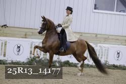 25R13_14177 proof