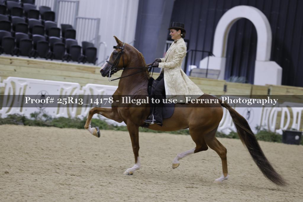 Proof 25R13_14178