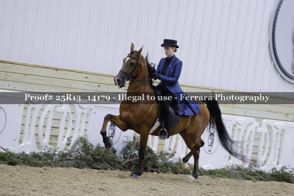Proof 25R13_14179