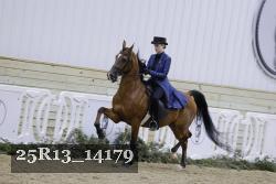 25R13_14179 proof