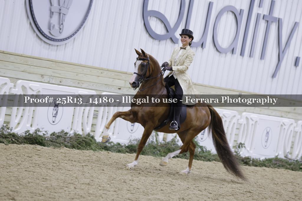 Proof 25R13_14180
