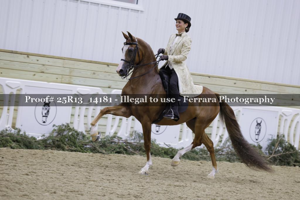 Proof 25R13_14181