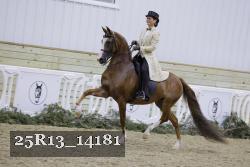 25R13_14181 proof