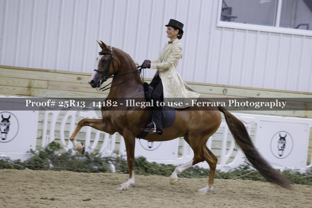 Proof 25R13_14182