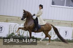 25R13_14182 proof