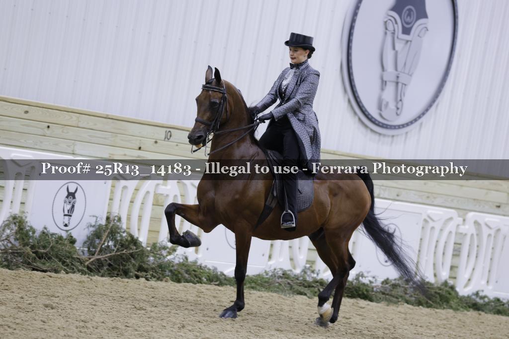 Proof 25R13_14183