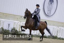 25R13_14183 proof