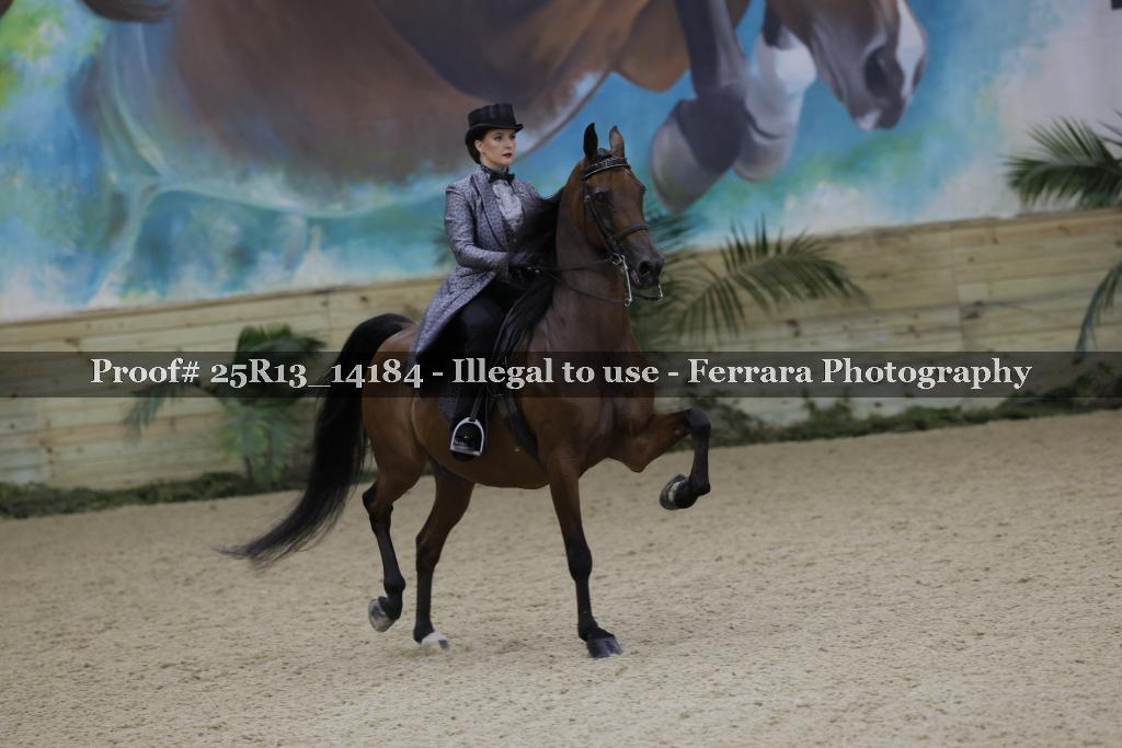 Proof 25R13_14184