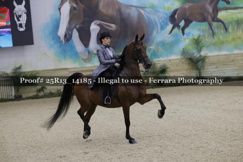 Proof 25R13_14185