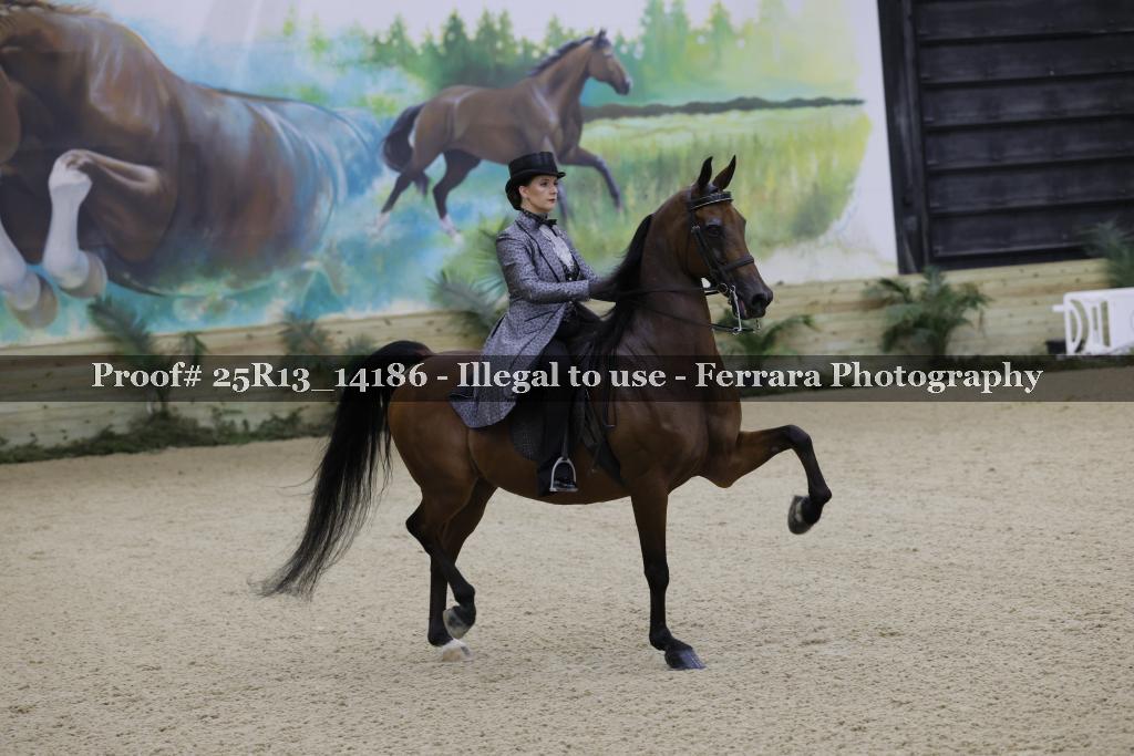 Proof 25R13_14186