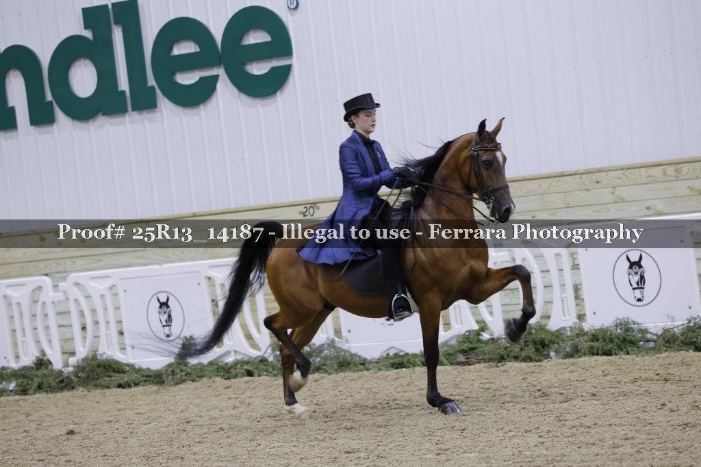 Proof 25R13_14187