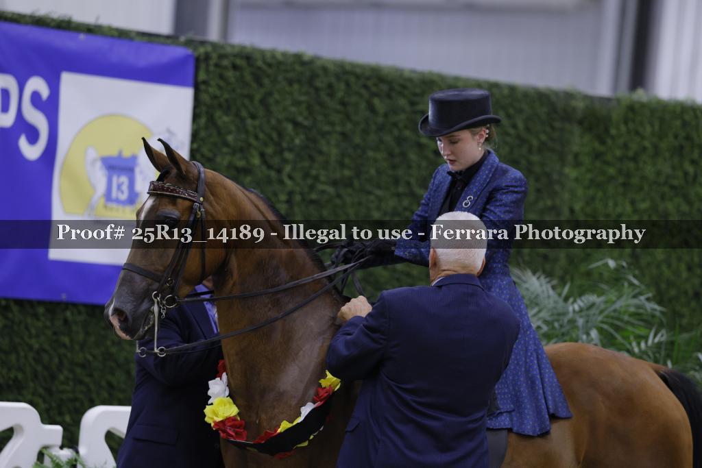 Proof 25R13_14189