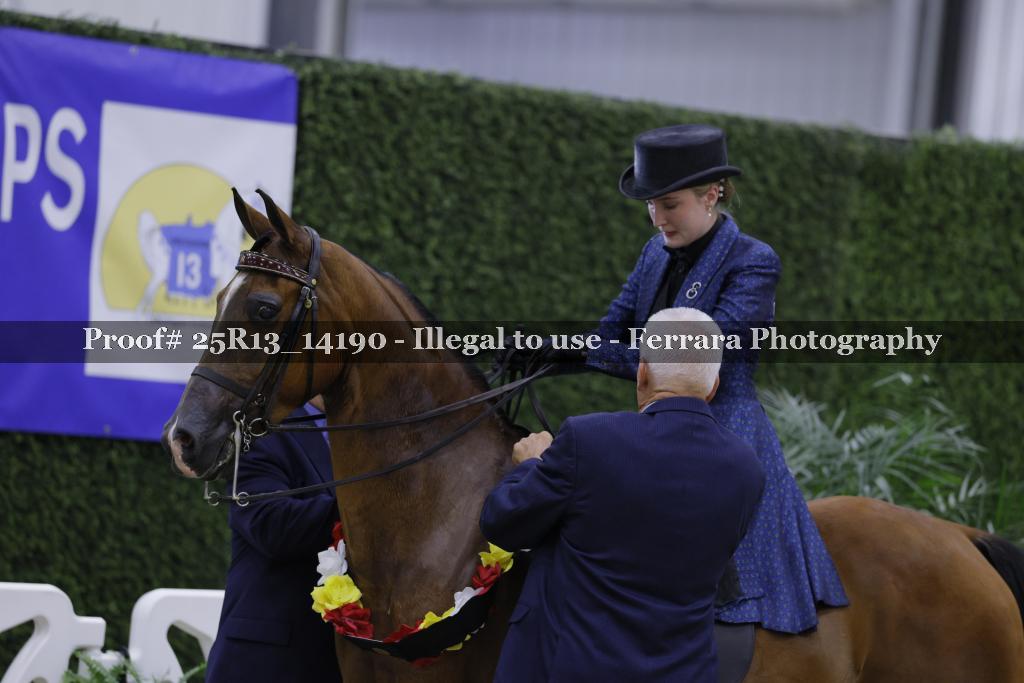 Proof 25R13_14190