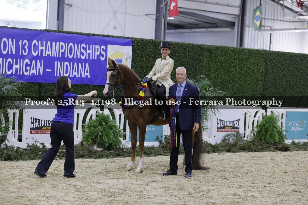 Proof 25R13_14198