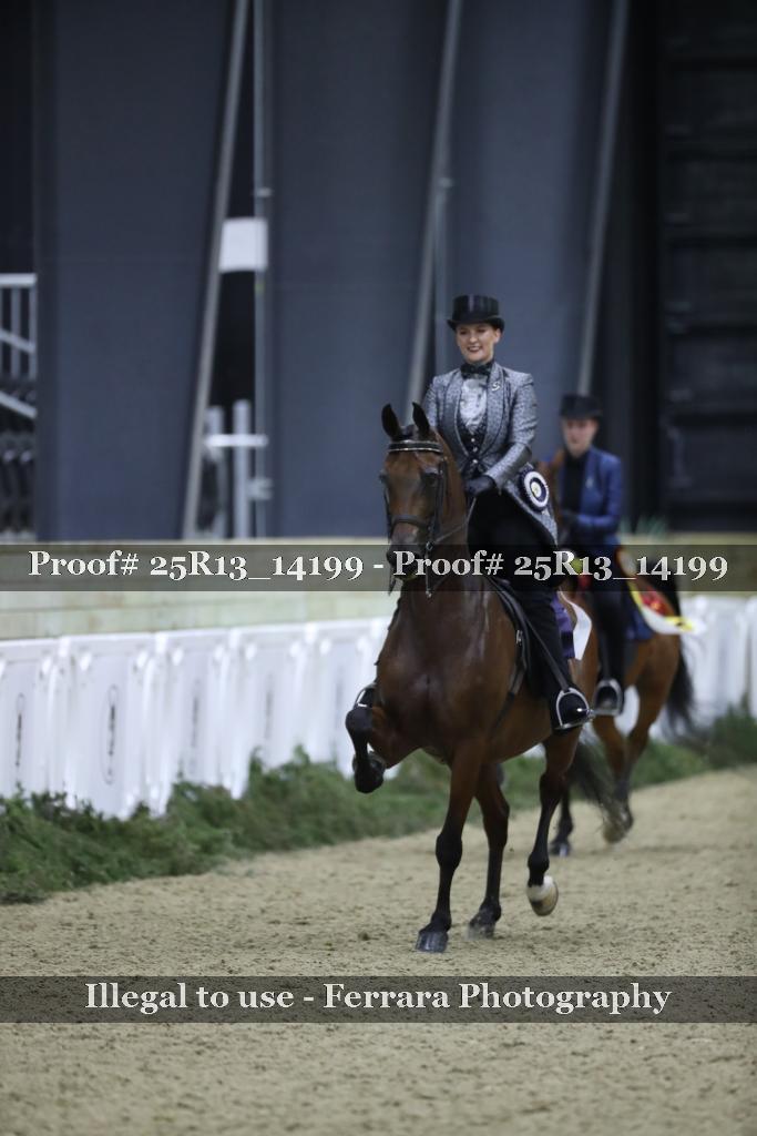 Proof 25R13_14199
