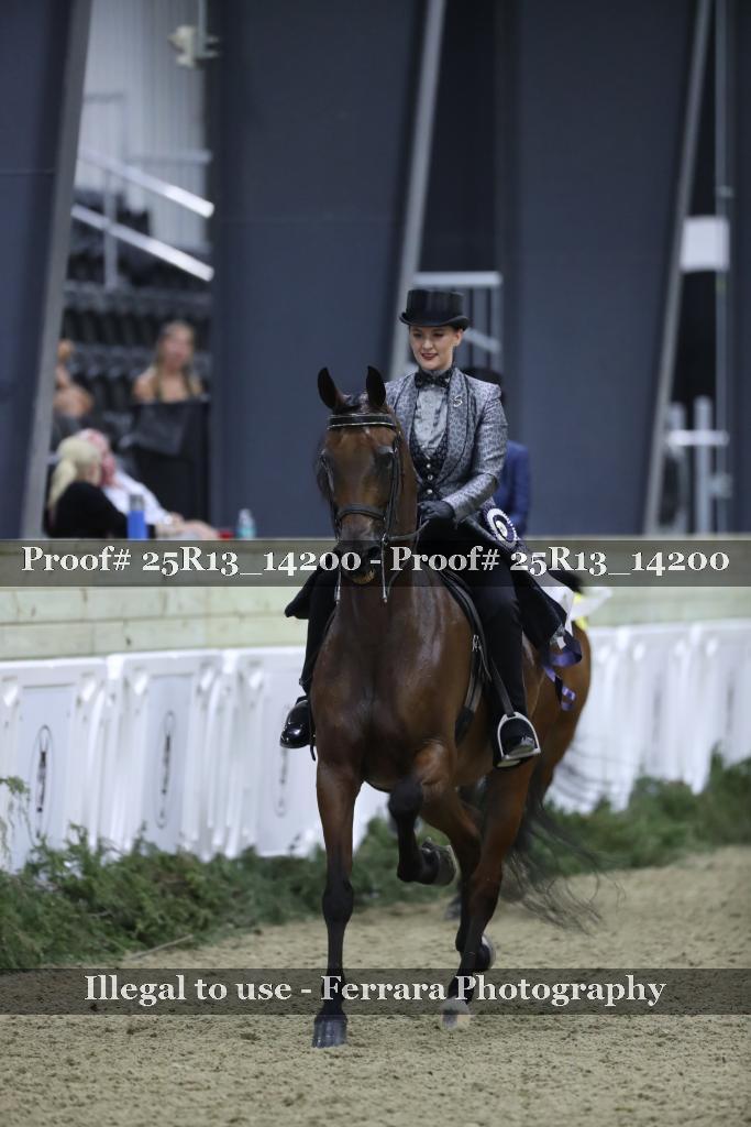 Proof 25R13_14200