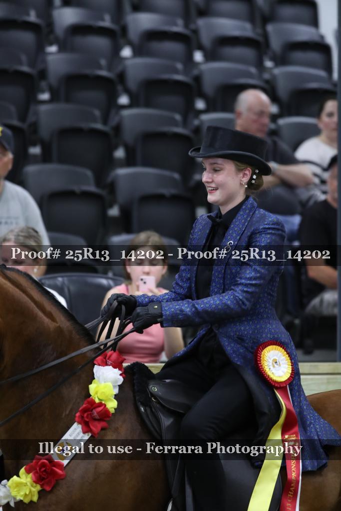 Proof 25R13_14202