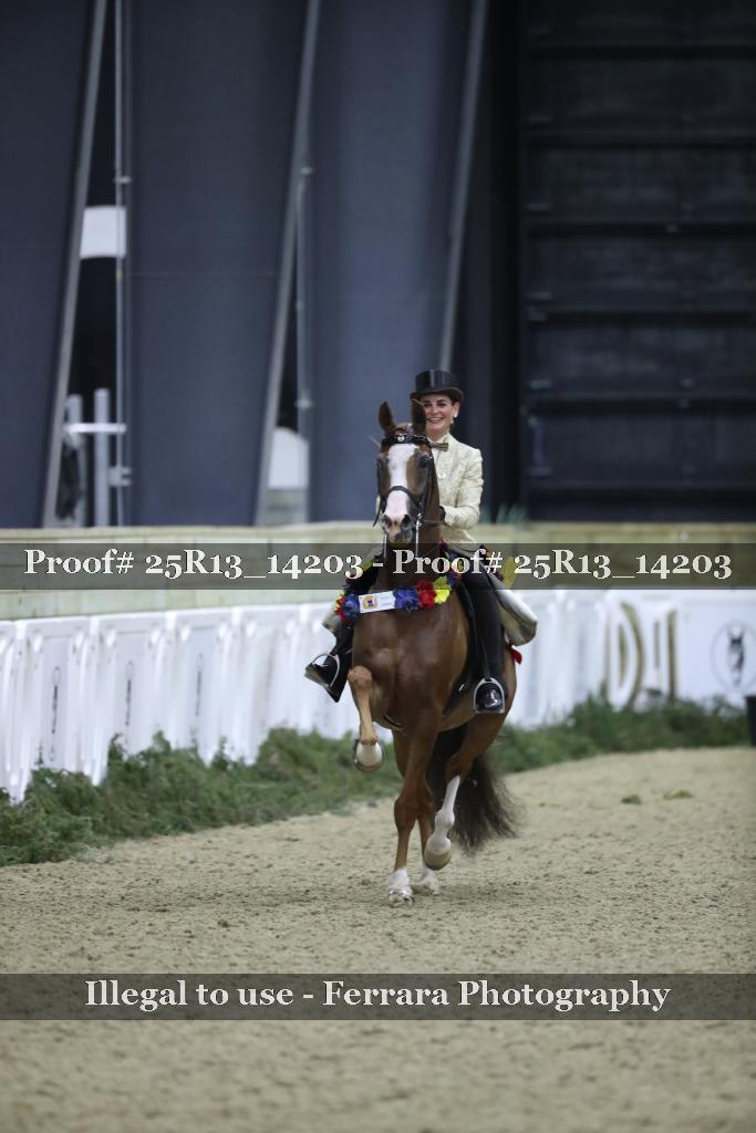 Proof 25R13_14203