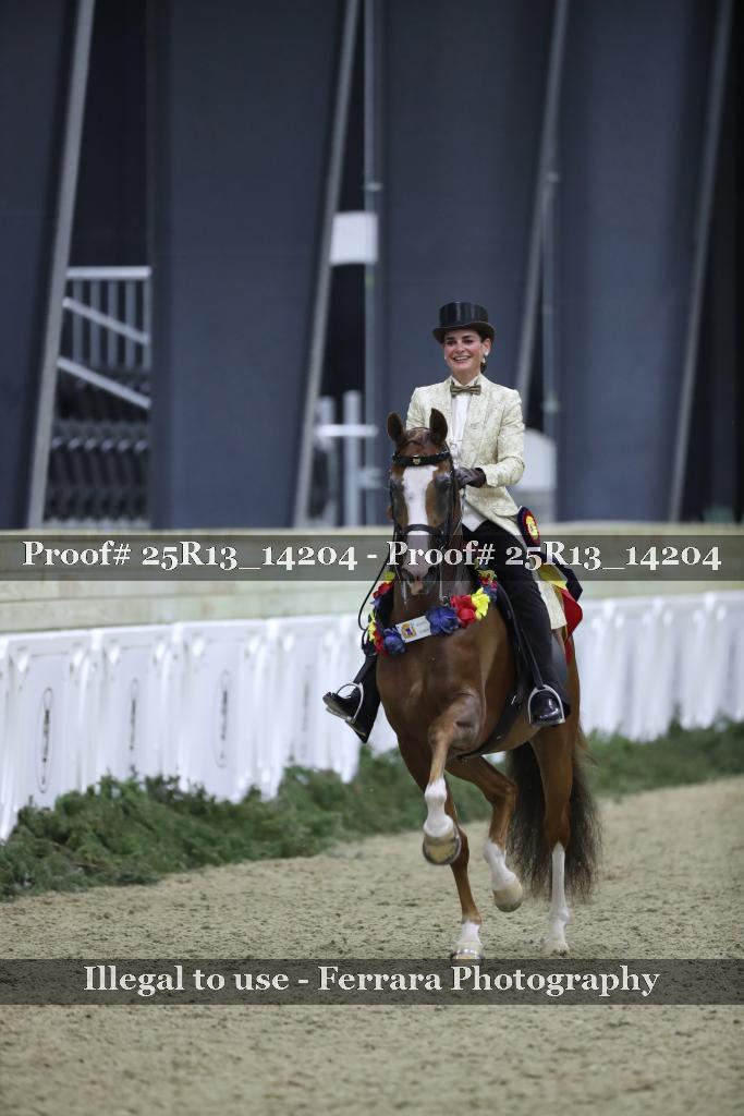 Proof 25R13_14204