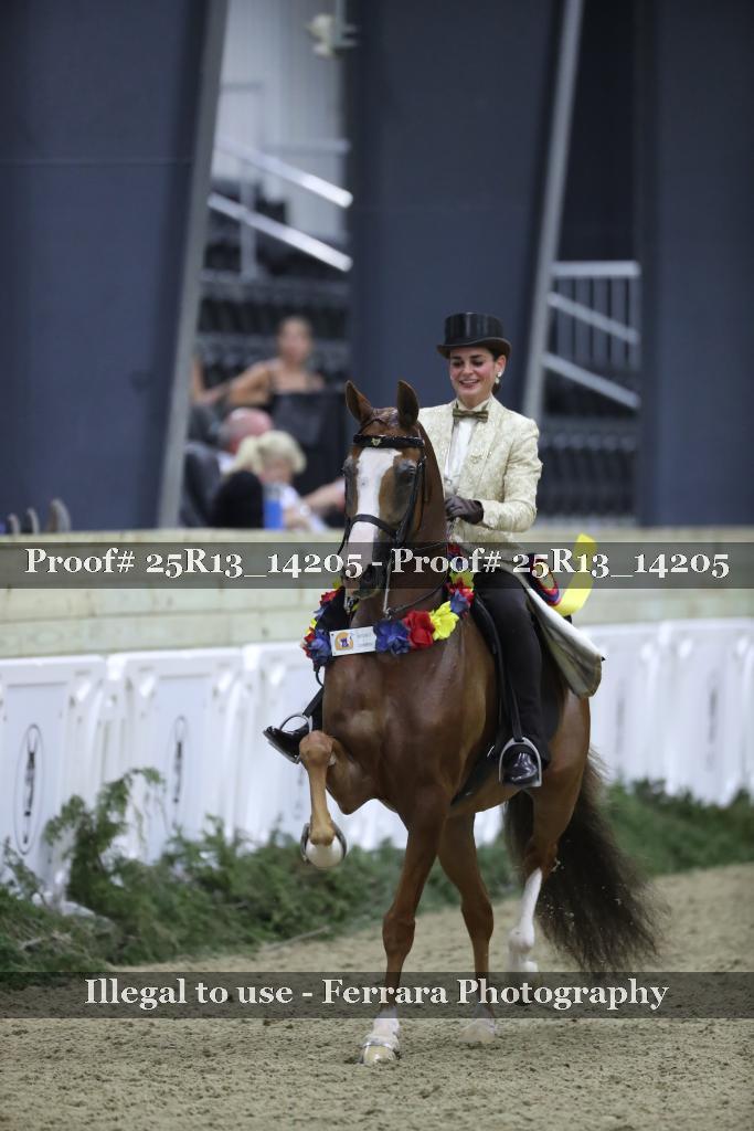 Proof 25R13_14205