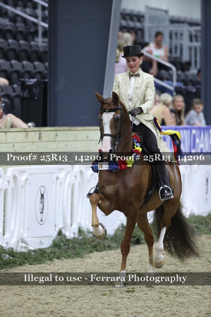 Proof 25R13_14206