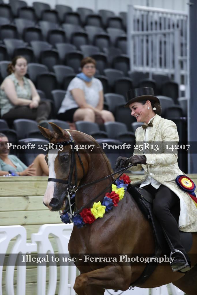 Proof 25R13_14207
