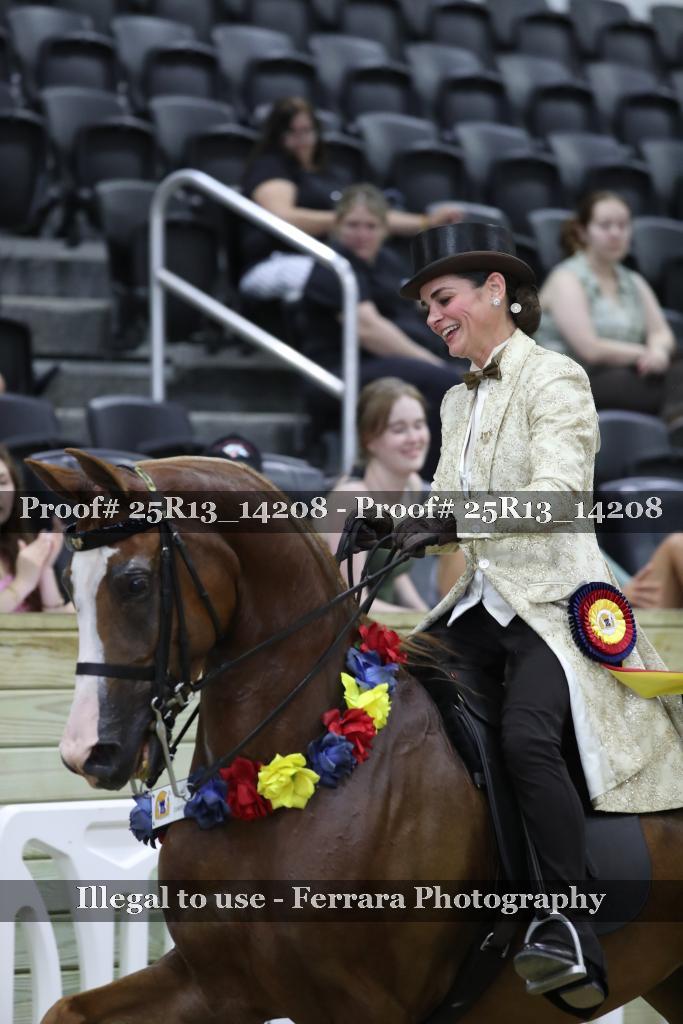 Proof 25R13_14208
