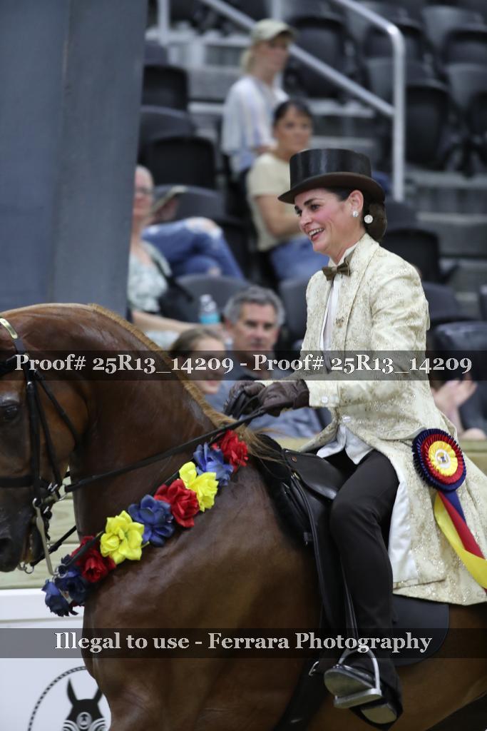 Proof 25R13_14209