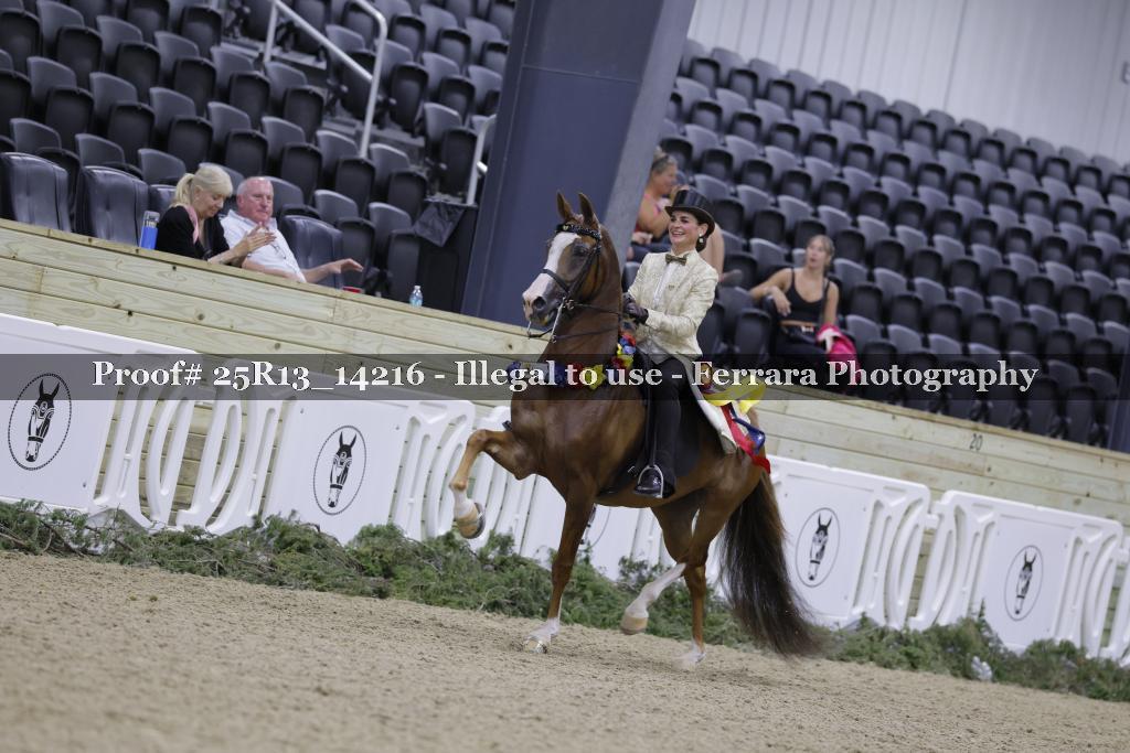 Proof 25R13_14216