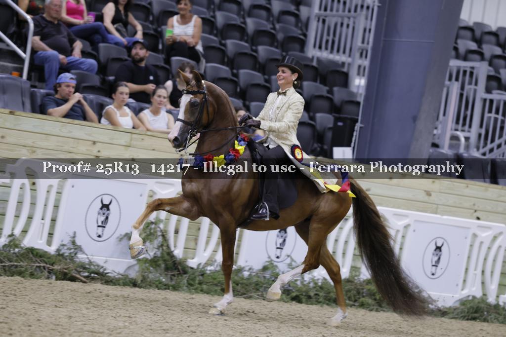 Proof 25R13_14217