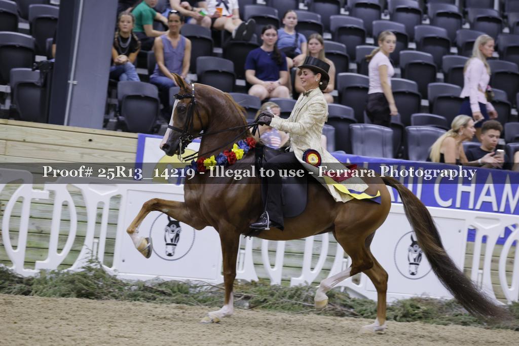 Proof 25R13_14219