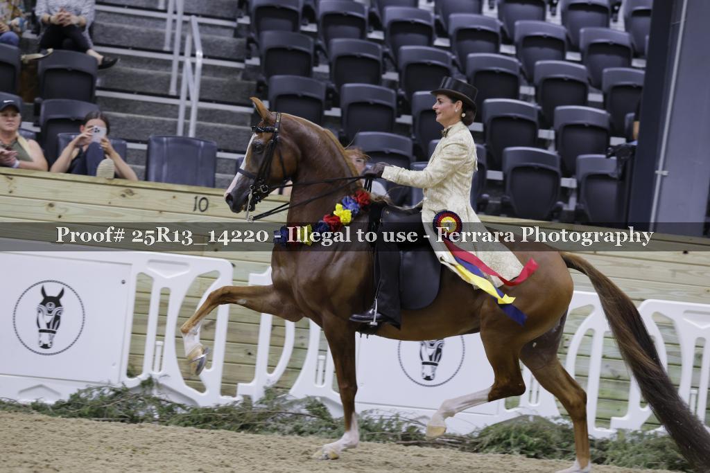 Proof 25R13_14220