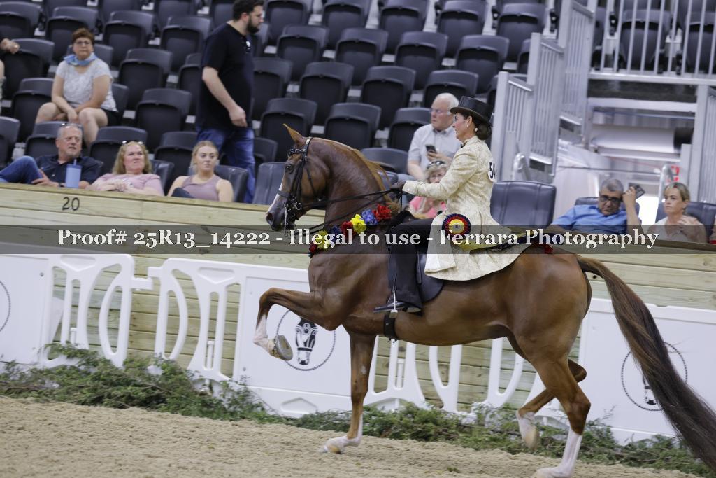 Proof 25R13_14222