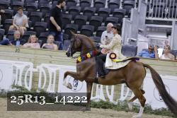25R13_14222 proof