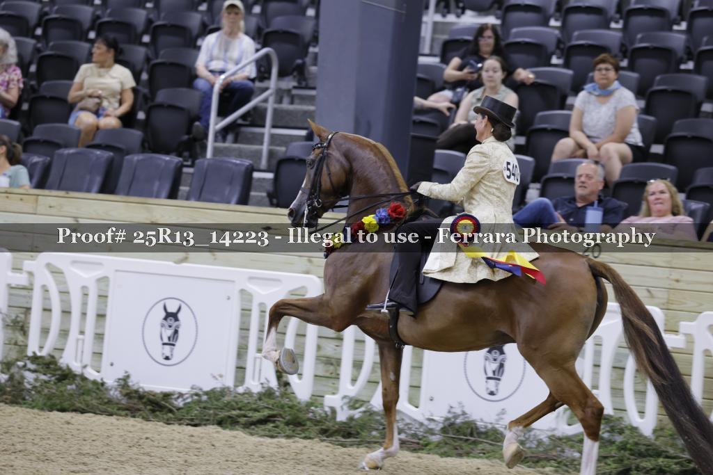 Proof 25R13_14223