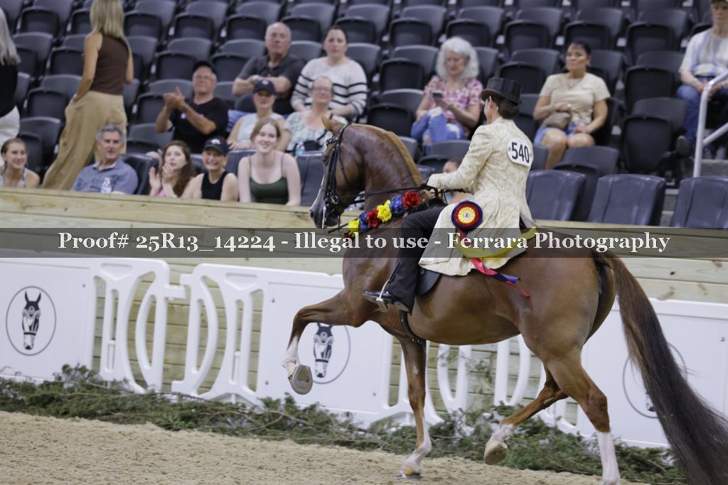 Proof 25R13_14224