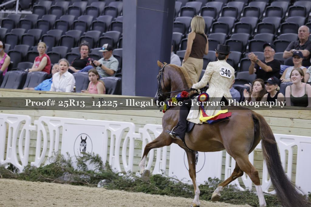 Proof 25R13_14225