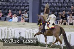 25R13_14225 proof