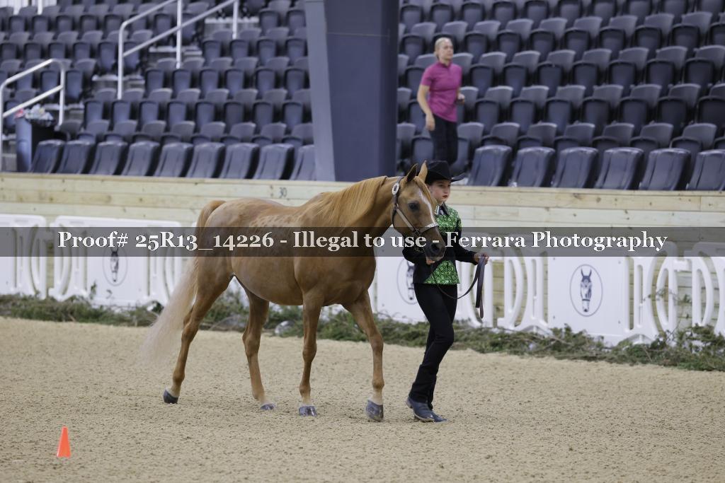 Proof 25R13_14226
