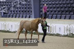 25R13_14226 proof