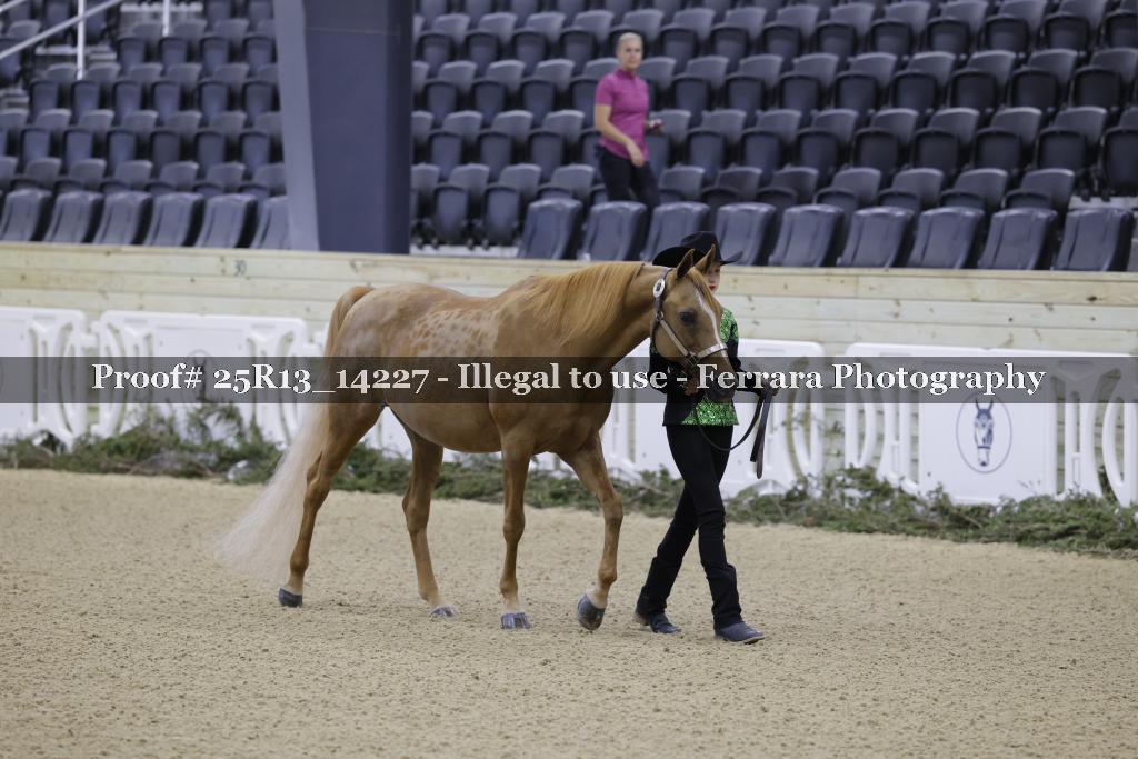 Proof 25R13_14227