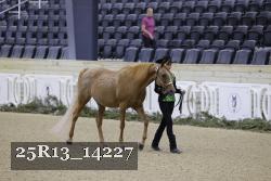 25R13_14227 proof