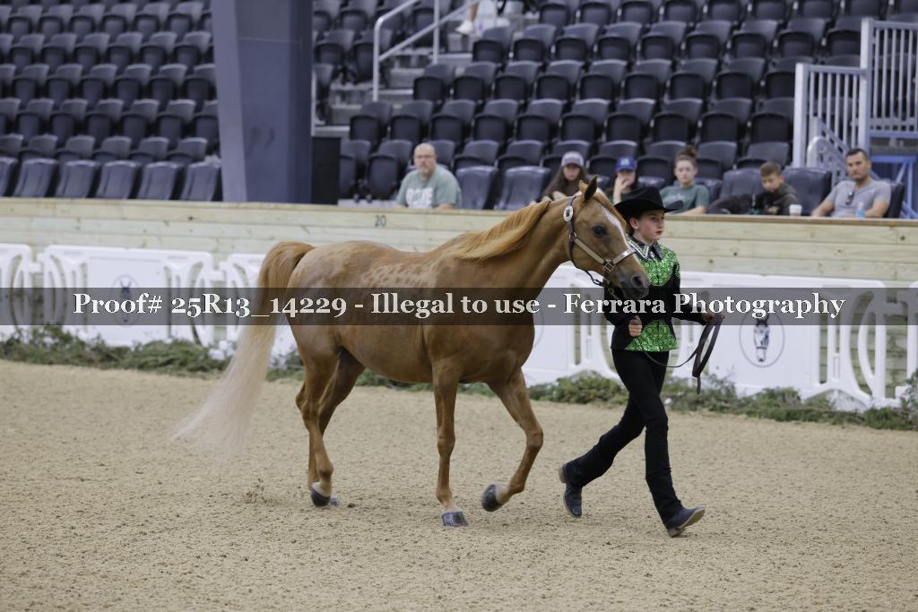 Proof 25R13_14229