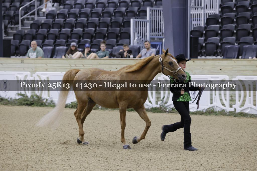 Proof 25R13_14230