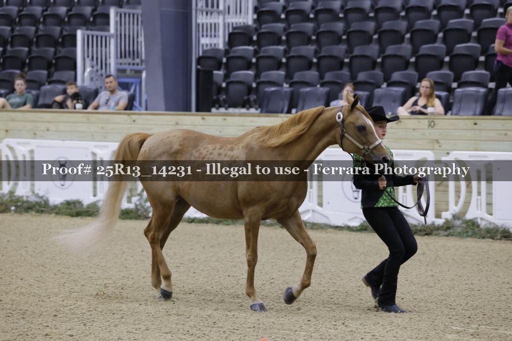 Proof 25R13_14231