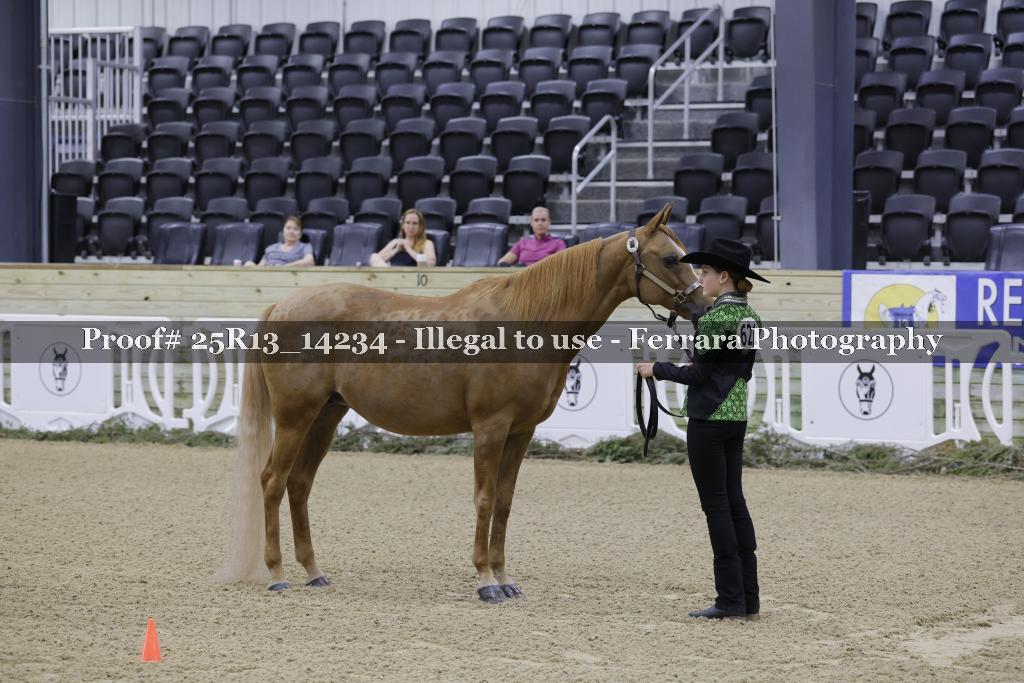 Proof 25R13_14234