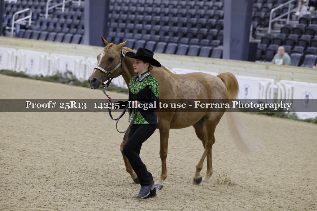 Proof 25R13_14235